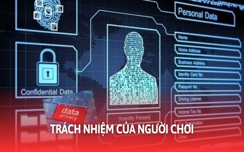 Mỗi thành viên tự có trách nhiệm trong vận hành