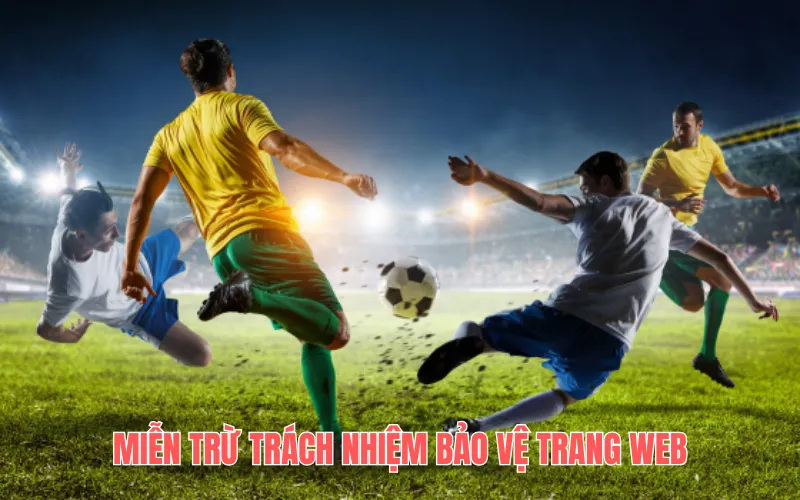 Miễn trừ trách nhiệm bảo vệ trang web khỏi các khiếu nại