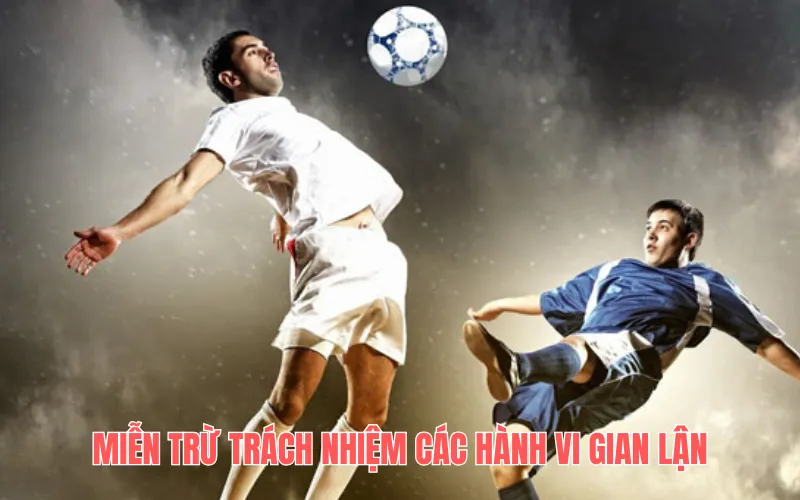 Miễn trừ trách nhiệm các hành vi gian lận